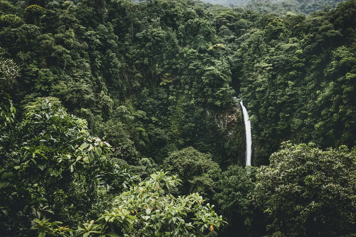 La Fortuna Waterfall dropping into a forest pool